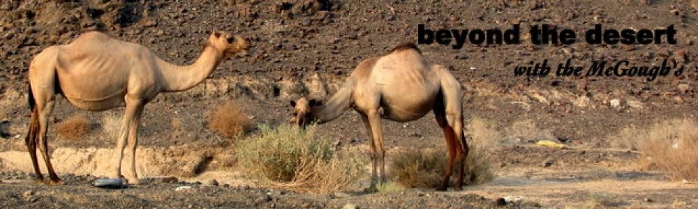 Beyond the Desert